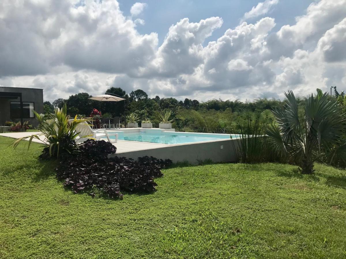 Torcaza Casa De Campo Quimbaya Exterior foto