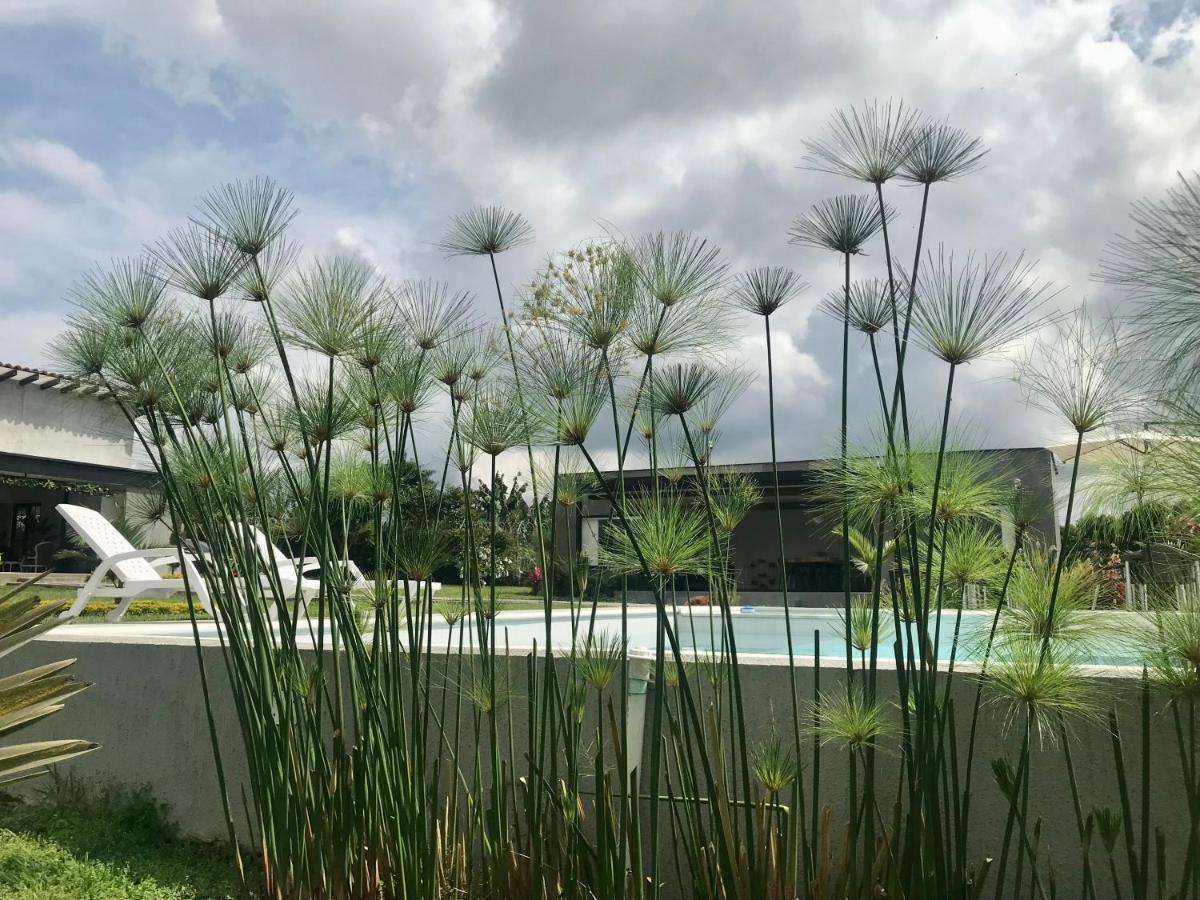 Torcaza Casa De Campo Quimbaya Exterior foto