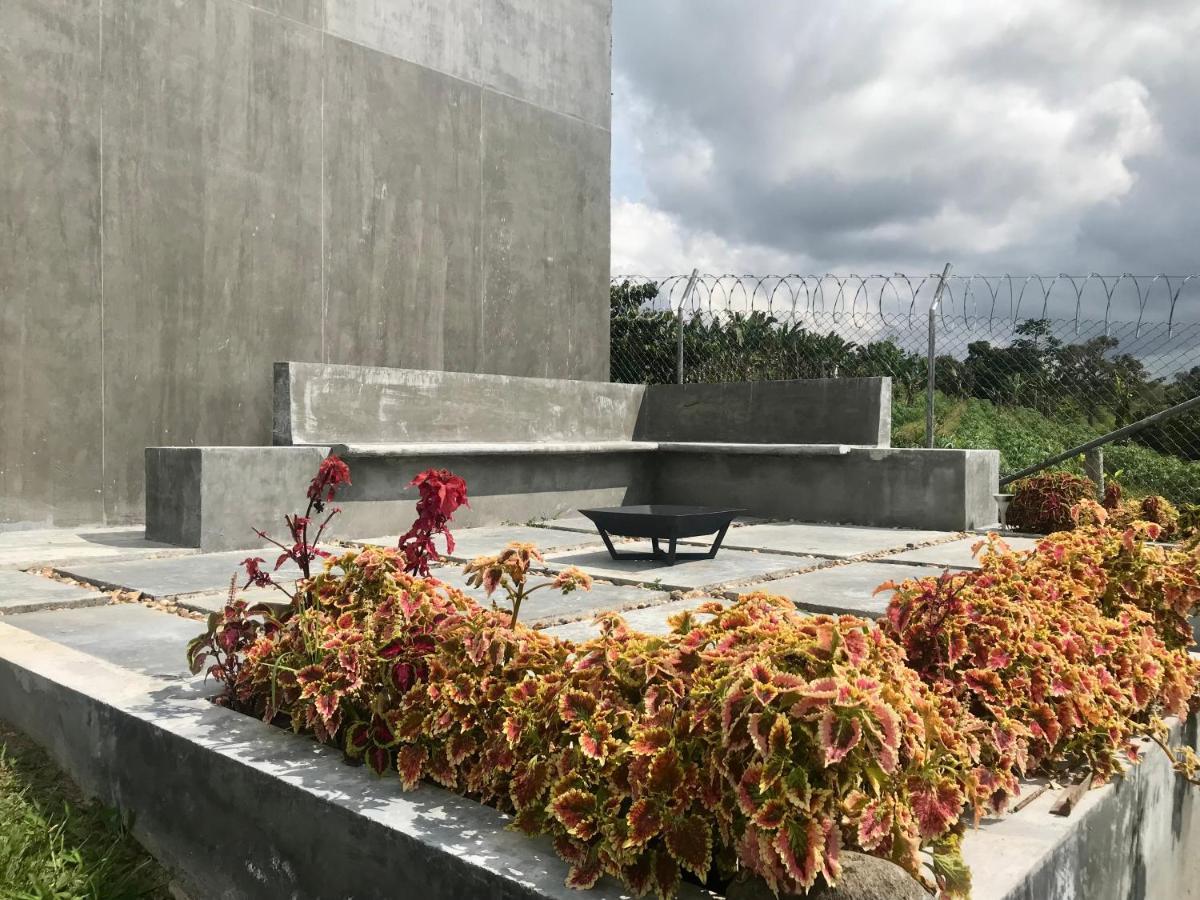 Torcaza Casa De Campo Quimbaya Exterior foto